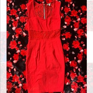 Red Floral Lace Waisted Dress